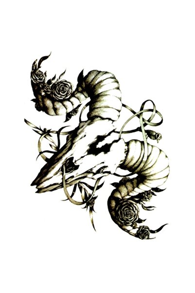 FlashTattoosRomania Tatuaj temporar, Tatuaje Flash România, Rampage, rezisten...