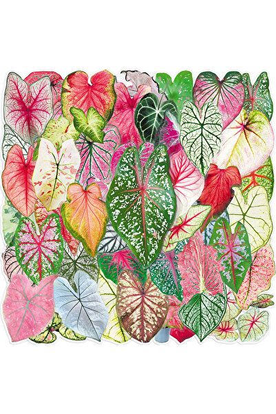Choice 50 Sheets of Colorful Taro Leaf Stickers, Colorful Tropical Foliage Pl...