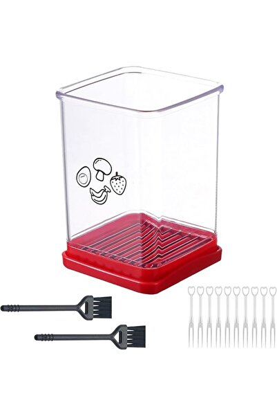 GENERAL Cup Slicer Fruit,Stainless Steel Fruit Cutter Cup,Vegetable Speed Sli...
