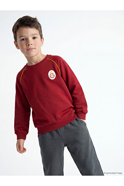 LC Waikiki Rmz Gi̇yi̇m Farki̇lli̇ Şi̇rket Licensed Embroidered Boys' Sweatshirt