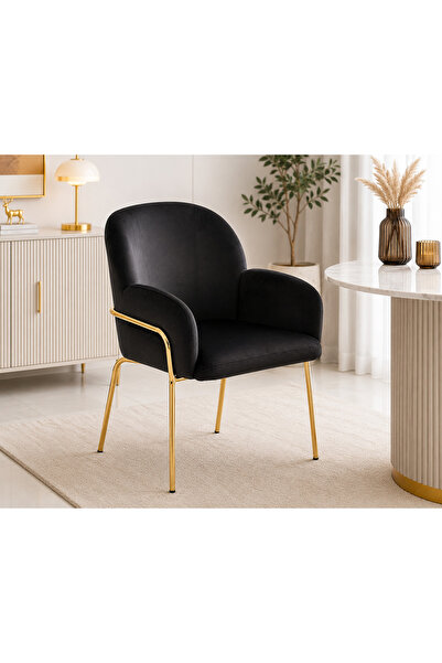 N.zone Modern Dining Chair Upholstered Soft Seat Armchair with Sturdy Metal F...