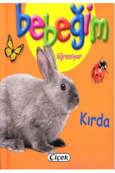 Çiçek Yayıncılık Bebeğim Öğreniyor - Kırda