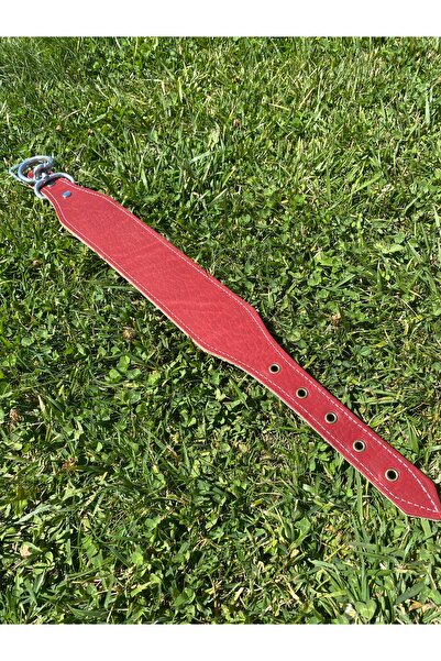 Sürmeli Tasma Dog Collar Genuine Leather 60 cm Rottweiler Dogo Golden Pitbull...
