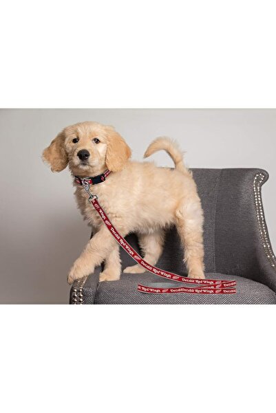 Pets First لعبة مطاطية للكلاب متينة مع حبل سحب قوي للكلاب. لعبة كرة هوكي الجل...
