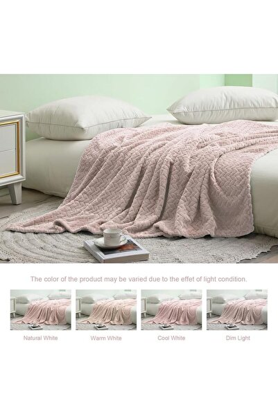 Exclusivo Mezcla Celadon Fleece Throw Blanket for Couch and Bed, 50x70 Inches...