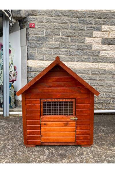 Petshop köpek kulubesi