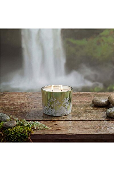 Amara Alvea (220G) Harmony Pine & Eucalyptus Jar Candle