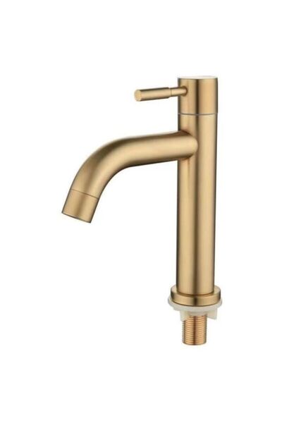 STARSTAR 304 gold-plated brushed stainless steel single-cold basin faucet, fo...
