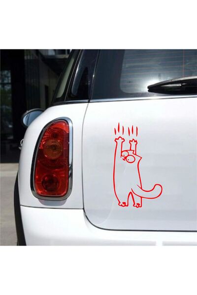 Hediyeni Al Sliding Cat Vehicle, Car, Auto, Motorcycle, Helmet, Laptop, Glass...