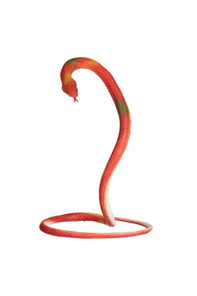 BAMI NETWORK Jucarie Sarpe Elastic Rosu Verde 70cm pentru Copii 3 Ani+