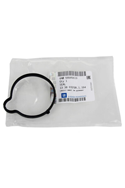 Opel Garnitura termostat