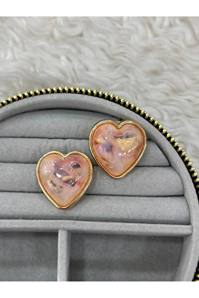 Bozhi Heart Earrings Steel Elegant Gift