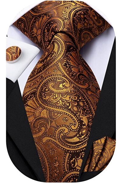 Dubulle Mens Paisely Silk Tie for Men Necktie and Pocket Square Set