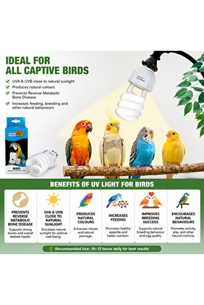 Lucky Herp Bird Compact Fluorescent Lamp - 20W (2.4% UVB)