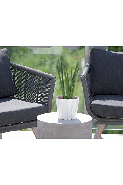 Prosperplast GHIVECI DE PLASTIC, LĂDĂUȚĂ DE BALCON PENTRU FLORI, GHIVECI GRIS...