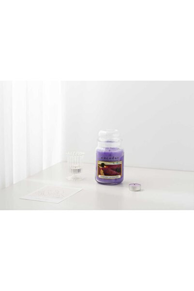 NO BRAND Lumânare parfumată în borcan SPA RELAX 550 g K2