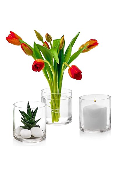Generic Brand Mado gallery Glass Cylinder Vases Set of 12 Decorative Centerpi...