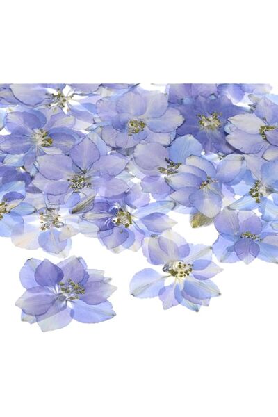 Generic 24-Pack Real Dried Pressed Flowers for Resin, Bulk Natural Dry Floral...