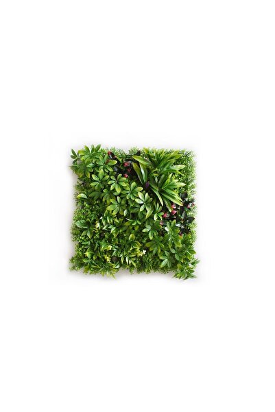 borayris Yapay Çiçek Duvar Kaplama 50x50 Cm Panel Şimşir Dik Duvar Uygulama Çim Dikey Bahçe 1.Kalite UV güneşe dayanıklı dış ortam