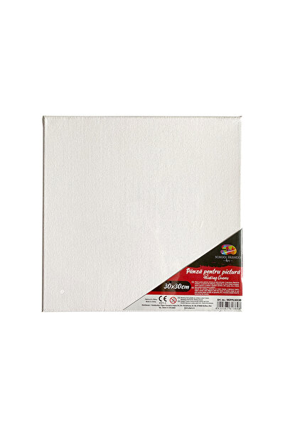 MC Micostore Panza pentru pictura pe sasiu 30 x 30 cm sf art pigna