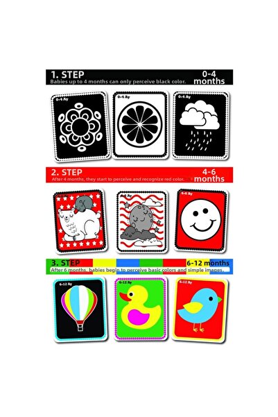 NW NessiWorld 1369 My Baby's First Intelligence Cards