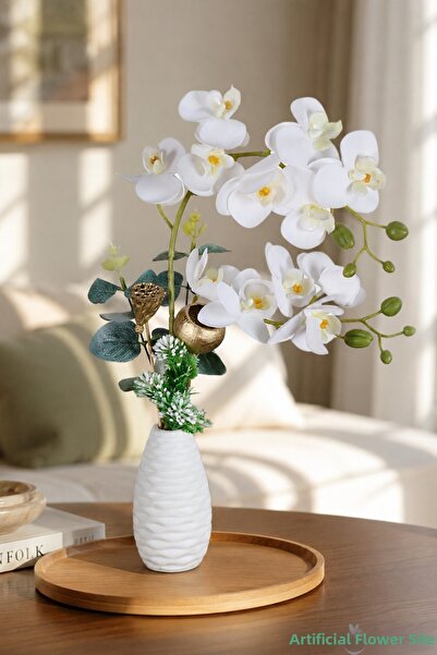 Yapay Çiçek Sitesi Dry Flower Orchid Arrangement in Concrete Pot White