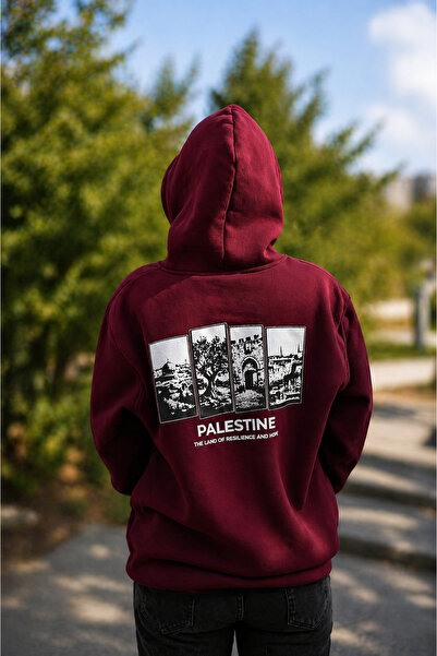 ZAVIXO A hoodie designed to reflect the spirit of Palestine through a strong ...