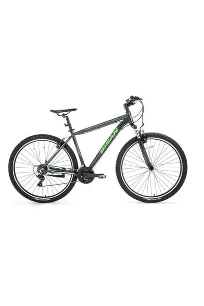 Bisan ATLAS ERKEK DAĞ BİSİKLETİ 48CM V 29 JANT 21 VİTES PARLAK GRİ YEŞİL