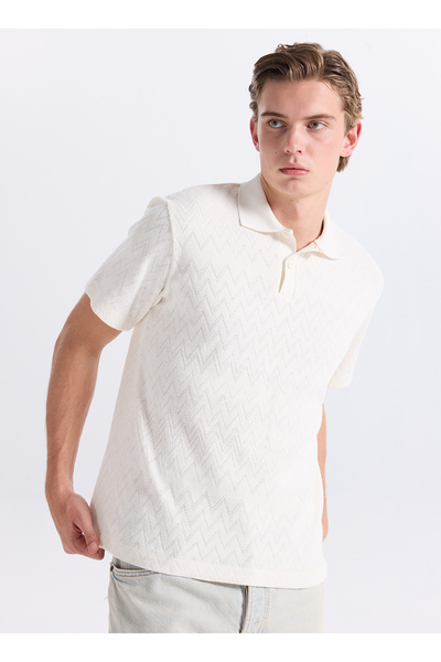 Jack & Jones Ekru Erkek Regular Fit Zikzak Desenli Polo T-Shirt 12308294 JPRB...