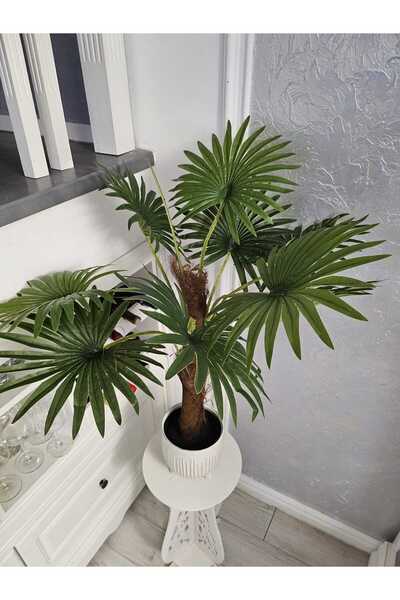 OEM Palmier Rotund 95cm