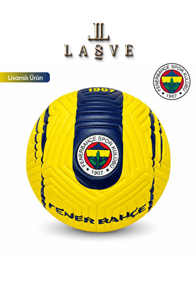 Fenerbahçe كرة القدم المجازية رقم 5 482662