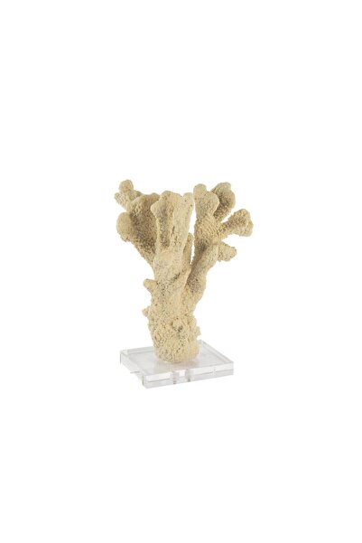 Mikasa Moor ŞEFFAF KAİDELİ NATUREL MERCAN 12X10X23 CM