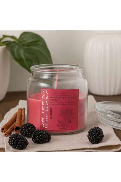 PAN HOME Indulgence Blackberry Cinnamon Jar Candle 280gm - 20 Hrs