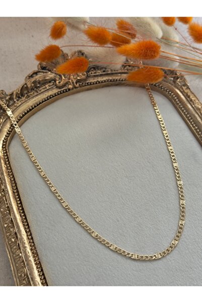 Snartun CM Jewelry Paslanmaz Çelik Gurmet Zincir Kadın Kolye I Özel Kutulu Mi...