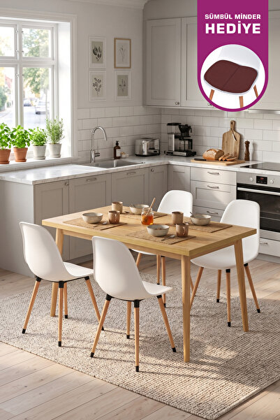 VİLİNZE Eames Sandalye Avanos Ahşap Mdf Mutfak Masası Takımı - 70x120 Cm