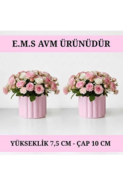 E.M.S AVM 2 ADET PASTEL PEMBE ÇUBUK DESEN SAKSI SUKULENT MENEKŞE SAKSISI DEKO...