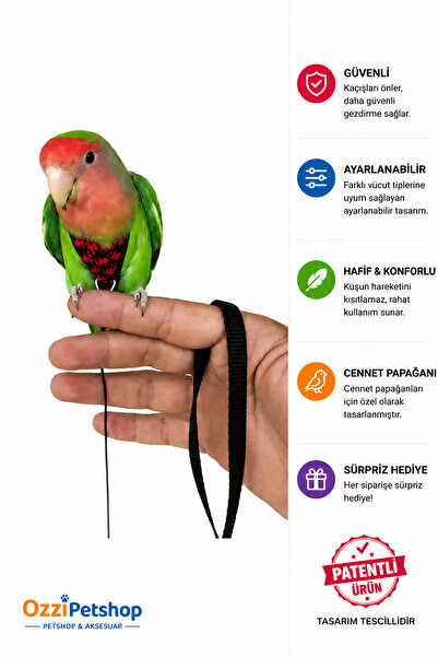 ozzipetshop Cennet Papağanı Tasması Ayarlanabilir Gezdirme Tasması Kırmızı Siyah