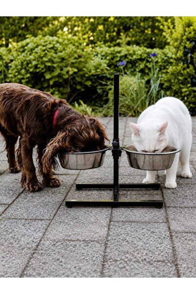 Alice Kedi/Köpek Mama/Su Kabı Standlı İkili 26 cm Çelik Ayarlanabilir Yüksekl...