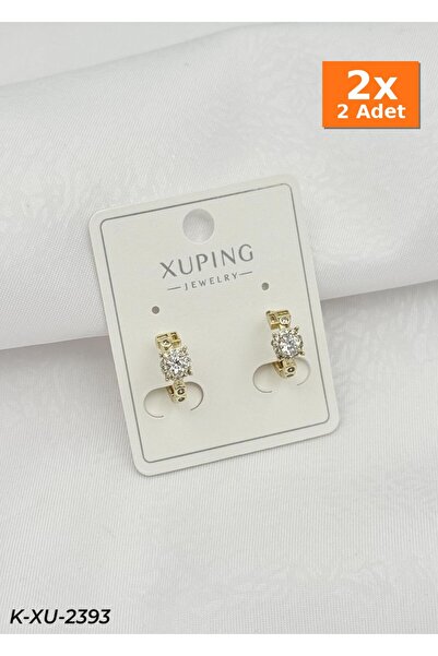 Bozhi Elegant Earrings Business Woman Style Stylish Gift