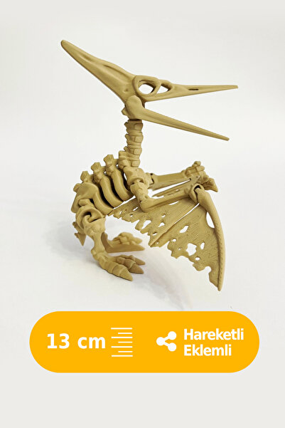 Hareketli Pterodaktil 3D İskelet Dinozor