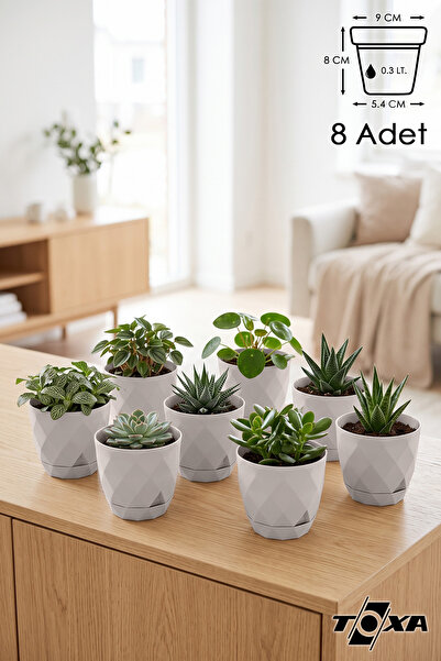 ToXA 8 Adet Mini Boy Prizma Desenli Tabaklı Parlak Plastik Saksı Yakamoz No0