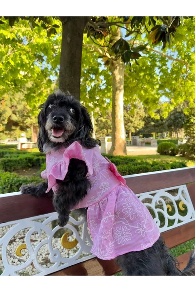 PATİLİNKA Cat-Dog 100% Cotton Muslin Summer Dress - Shirt - Gilet - T-Shirt -...