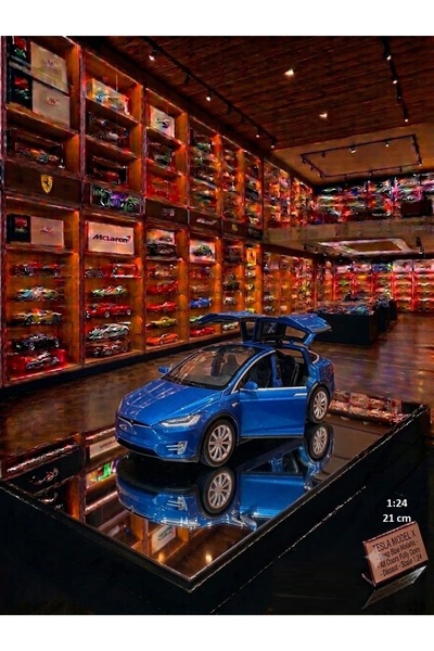 OYUNCAKSAHİLİ Tesla 21cm Diecast Metal 1,24 Scale Koleksiyon Model Martı Kapı...