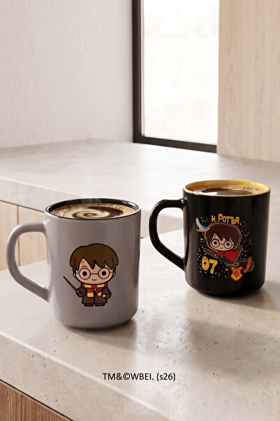 Rakle Harry Potter 2'li Kupa Seti 250 cc