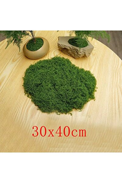 Choice As show E-Green Green Fake Moss DIY Crafts Grass Artificial Moss Faux ...