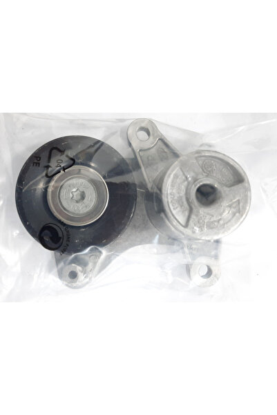Genel Markalar 25281-07003 HYUNDAI İ20 1.2 ALTERNATOR KAYIS GERGI KUTUGU RULM...