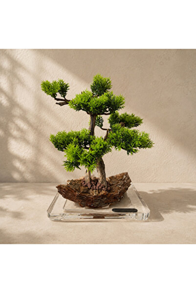 Decoroon El Yapımı Bonsai Dekor | Gerçek Ağaç Gövdesi & Şoklanmış Yosunlu Epo...