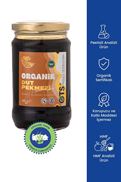 OTS Organik Dut Pekmezi 380 gr (Organik Sertifikalı, Pestisit Analizli)