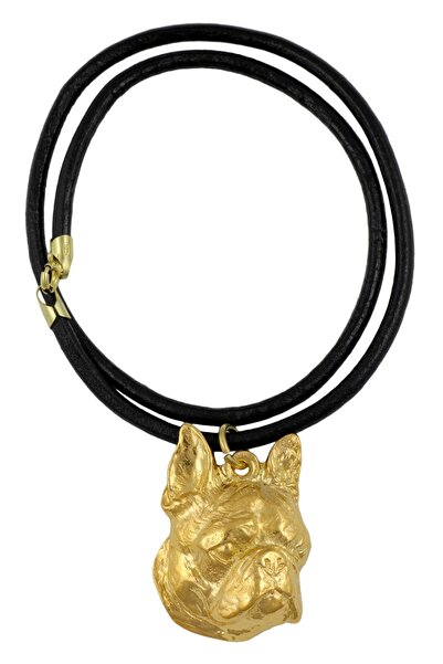 Art - Dog Boston Terrier - colier cu un câine într-o cutie cadou, pandantiv p...