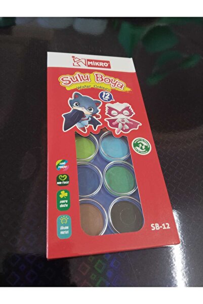 12 Renkli Sulu Boya